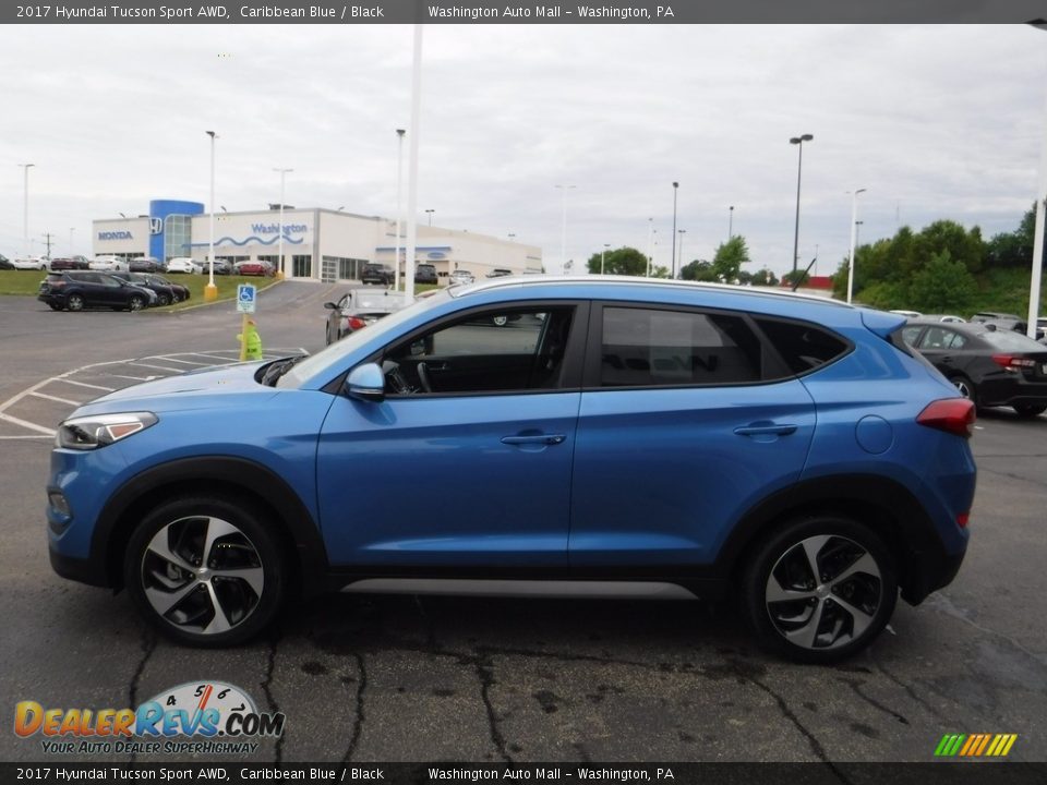 2017 Hyundai Tucson Sport AWD Caribbean Blue / Black Photo #6