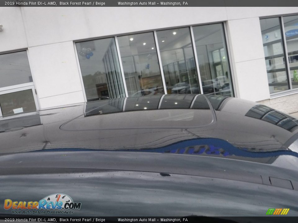 2019 Honda Pilot EX-L AWD Black Forest Pearl / Beige Photo #3