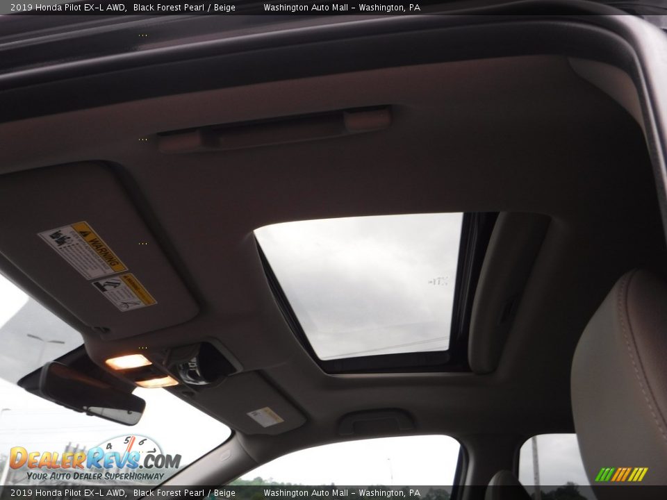 2019 Honda Pilot EX-L AWD Black Forest Pearl / Beige Photo #11