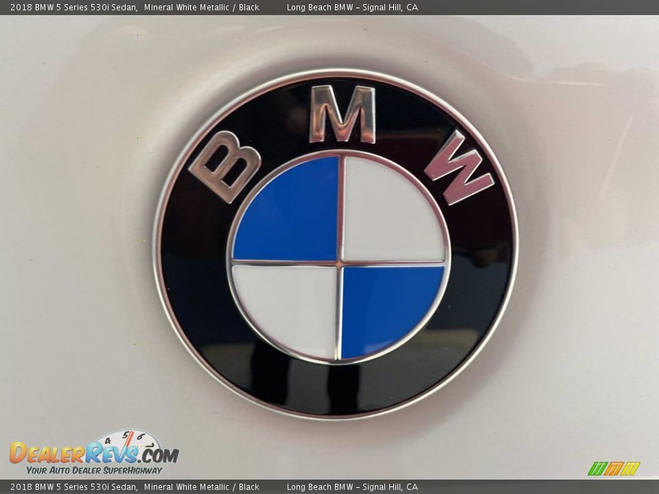 2018 BMW 5 Series 530i Sedan Mineral White Metallic / Black Photo #10