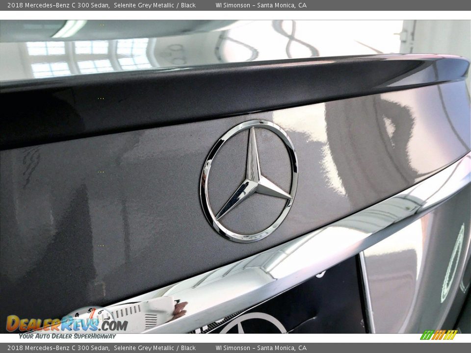 2018 Mercedes-Benz C 300 Sedan Selenite Grey Metallic / Black Photo #7
