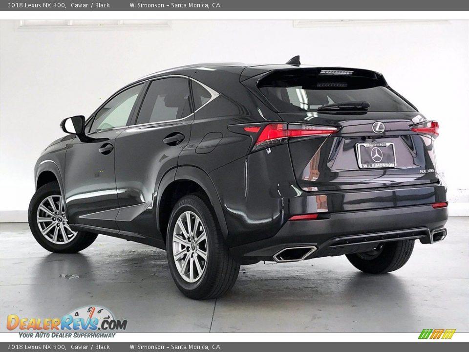 2018 Lexus NX 300 Caviar / Black Photo #10