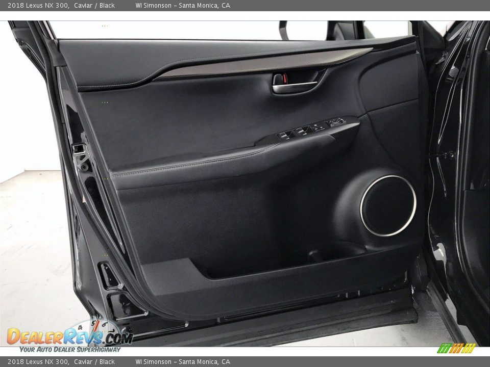 Door Panel of 2018 Lexus NX 300 Photo #26