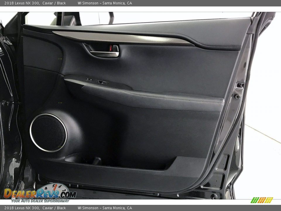 Door Panel of 2018 Lexus NX 300 Photo #27