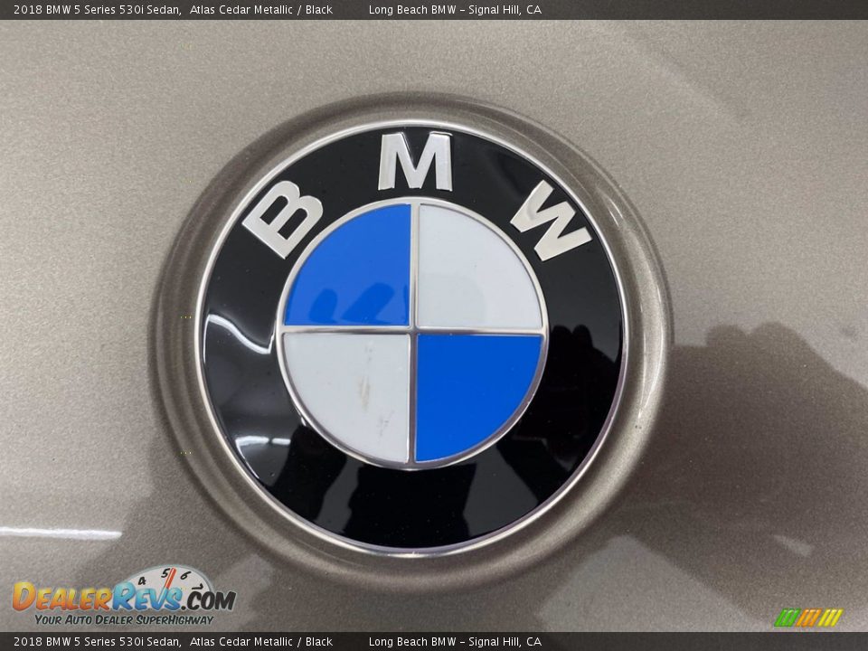 2018 BMW 5 Series 530i Sedan Logo Photo #8