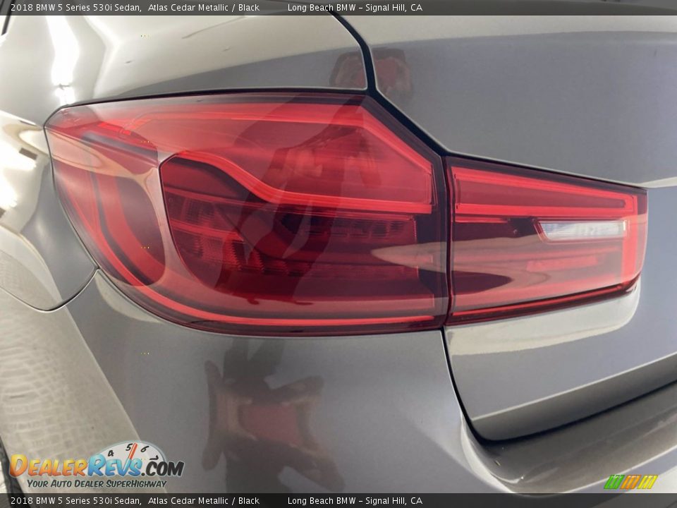 2018 BMW 5 Series 530i Sedan Atlas Cedar Metallic / Black Photo #9
