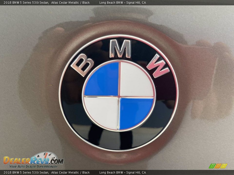 2018 BMW 5 Series 530i Sedan Atlas Cedar Metallic / Black Photo #10