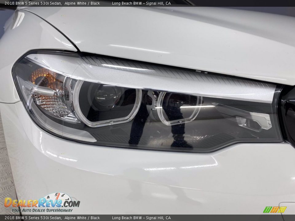 2018 BMW 5 Series 530i Sedan Alpine White / Black Photo #7