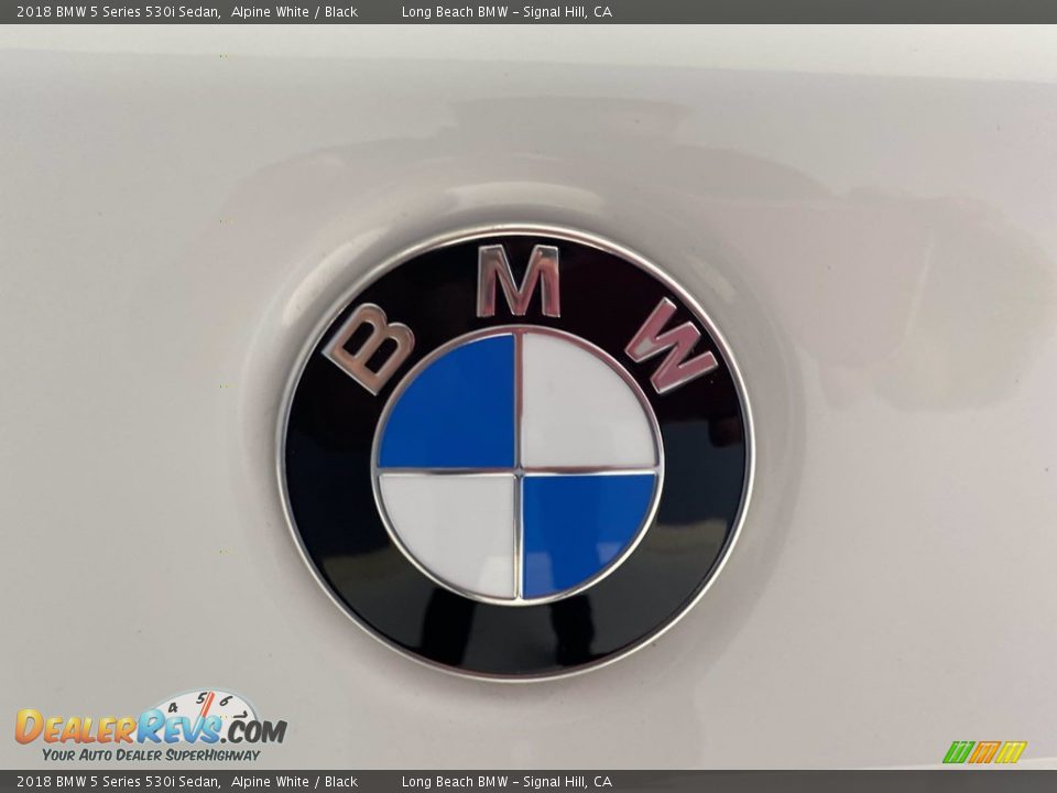 2018 BMW 5 Series 530i Sedan Alpine White / Black Photo #10