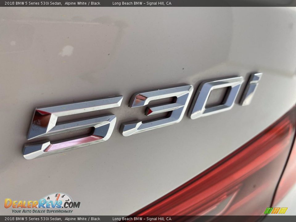 2018 BMW 5 Series 530i Sedan Alpine White / Black Photo #11