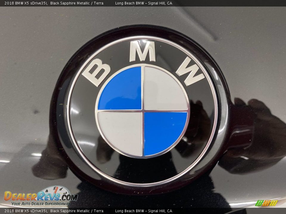 2018 BMW X5 sDrive35i Black Sapphire Metallic / Terra Photo #8