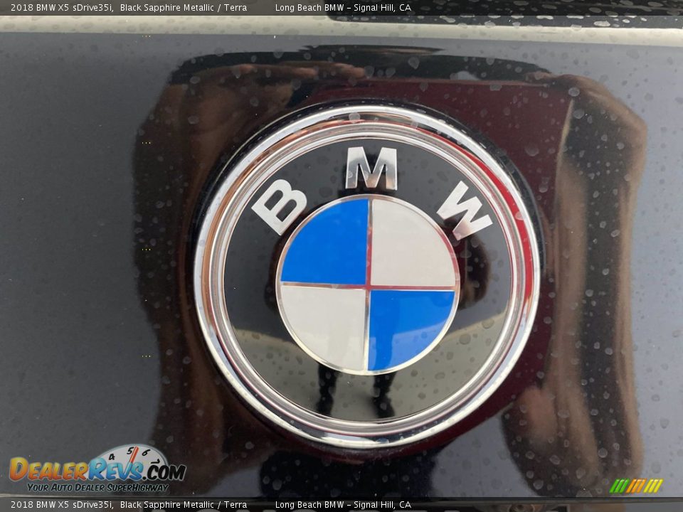 2018 BMW X5 sDrive35i Black Sapphire Metallic / Terra Photo #10