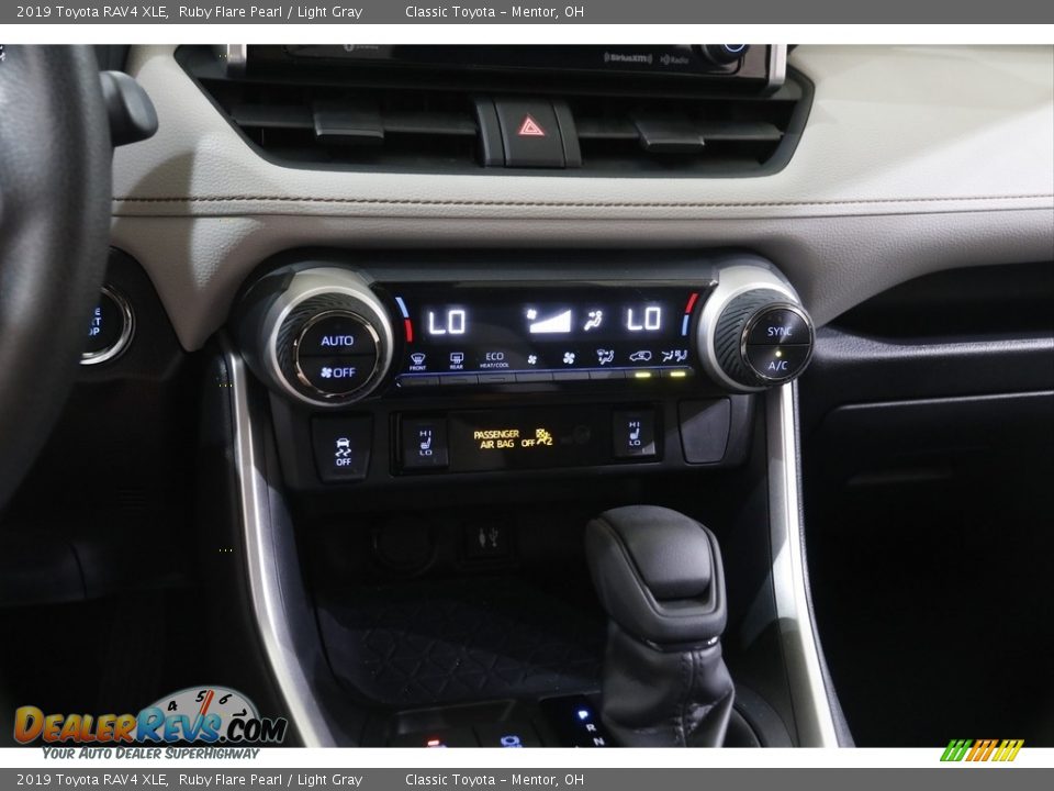 2019 Toyota RAV4 XLE Ruby Flare Pearl / Light Gray Photo #11