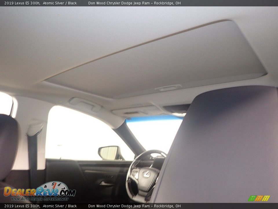 2019 Lexus ES 300h Atomic Silver / Black Photo #2