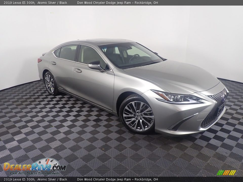2019 Lexus ES 300h Atomic Silver / Black Photo #6