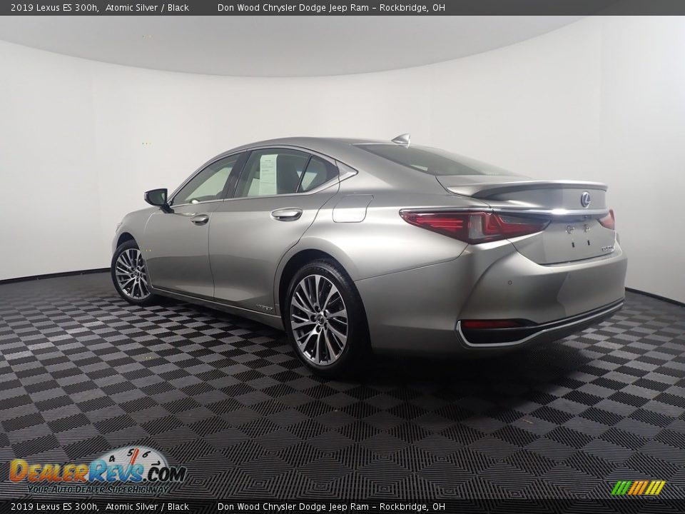 2019 Lexus ES 300h Atomic Silver / Black Photo #12
