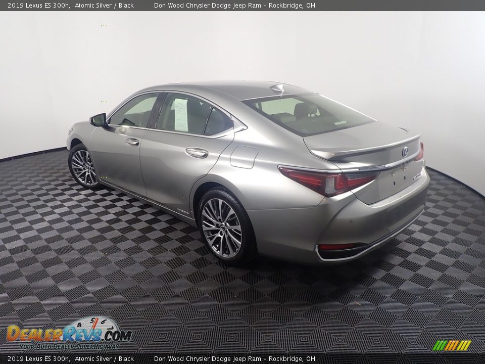 2019 Lexus ES 300h Atomic Silver / Black Photo #13