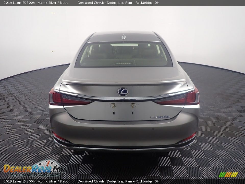 2019 Lexus ES 300h Atomic Silver / Black Photo #14