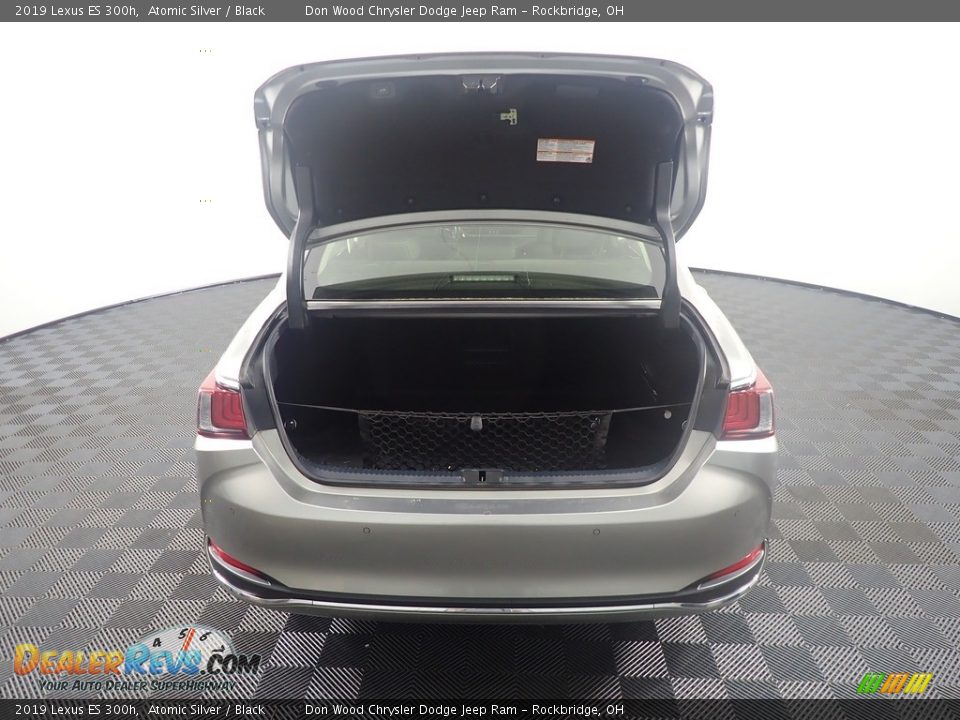 2019 Lexus ES 300h Atomic Silver / Black Photo #15