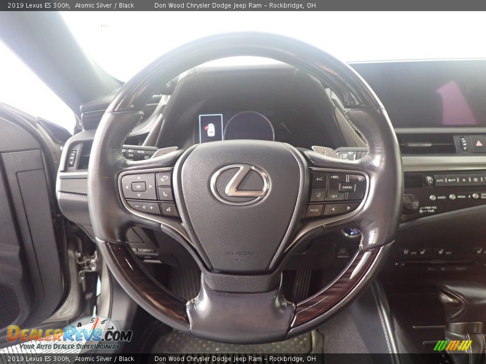 2019 Lexus ES 300h Atomic Silver / Black Photo #28