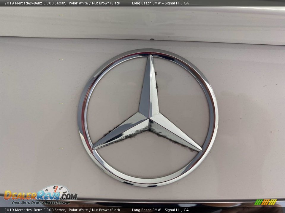 2019 Mercedes-Benz E 300 Sedan Polar White / Nut Brown/Black Photo #10