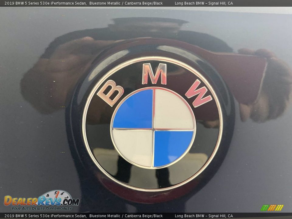 2019 BMW 5 Series 530e iPerformance Sedan Bluestone Metallic / Canberra Beige/Black Photo #10