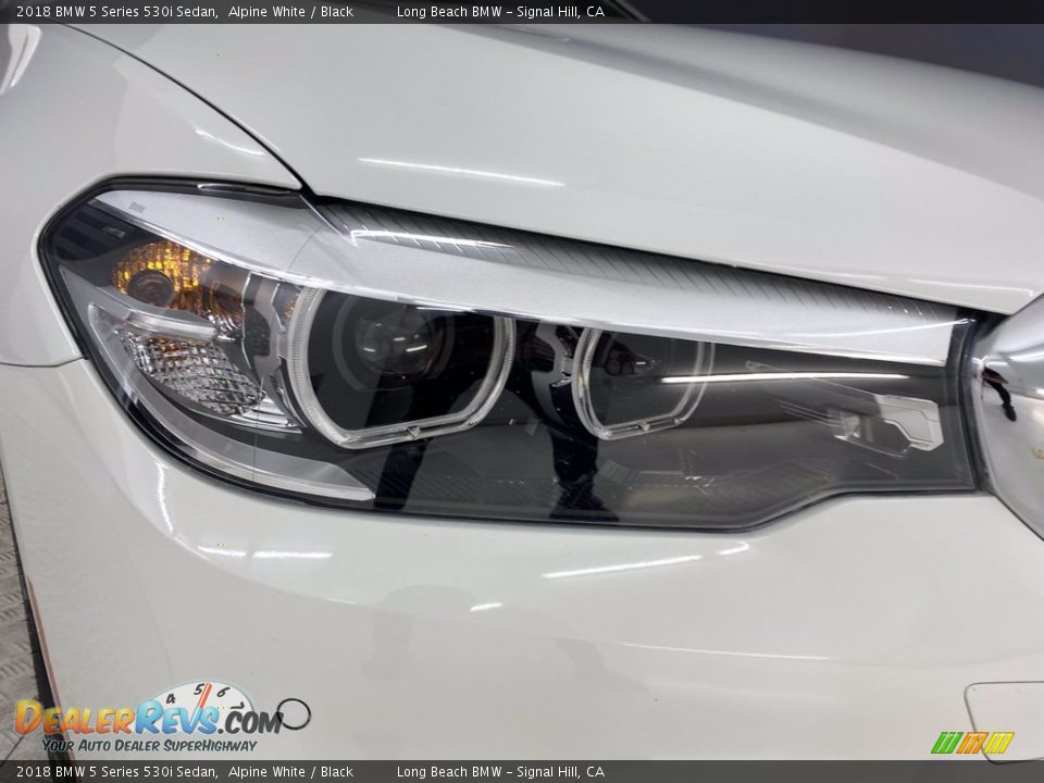 2018 BMW 5 Series 530i Sedan Alpine White / Black Photo #7