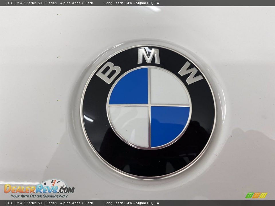 2018 BMW 5 Series 530i Sedan Alpine White / Black Photo #8