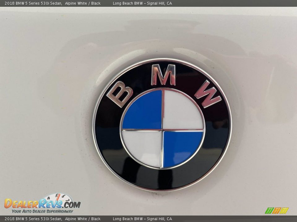 2018 BMW 5 Series 530i Sedan Alpine White / Black Photo #10
