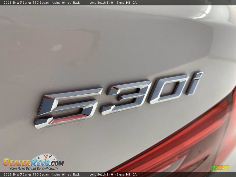2018 BMW 5 Series 530i Sedan Alpine White / Black Photo #11