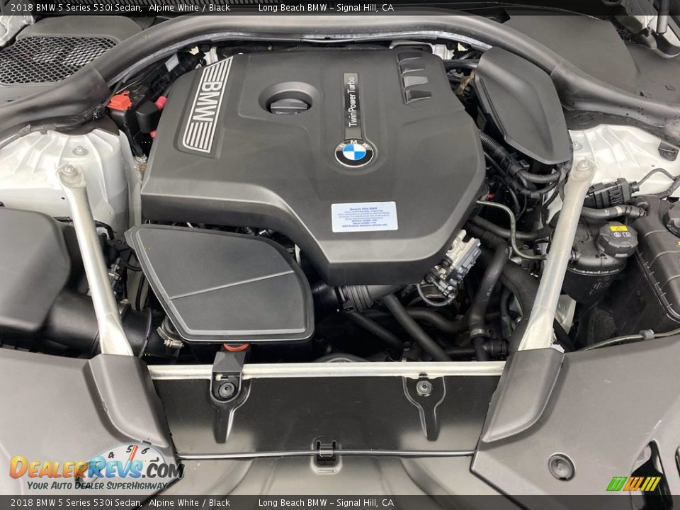 2018 BMW 5 Series 530i Sedan Alpine White / Black Photo #12