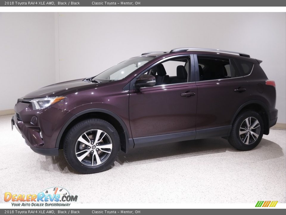 2018 Toyota RAV4 XLE AWD Black / Black Photo #3