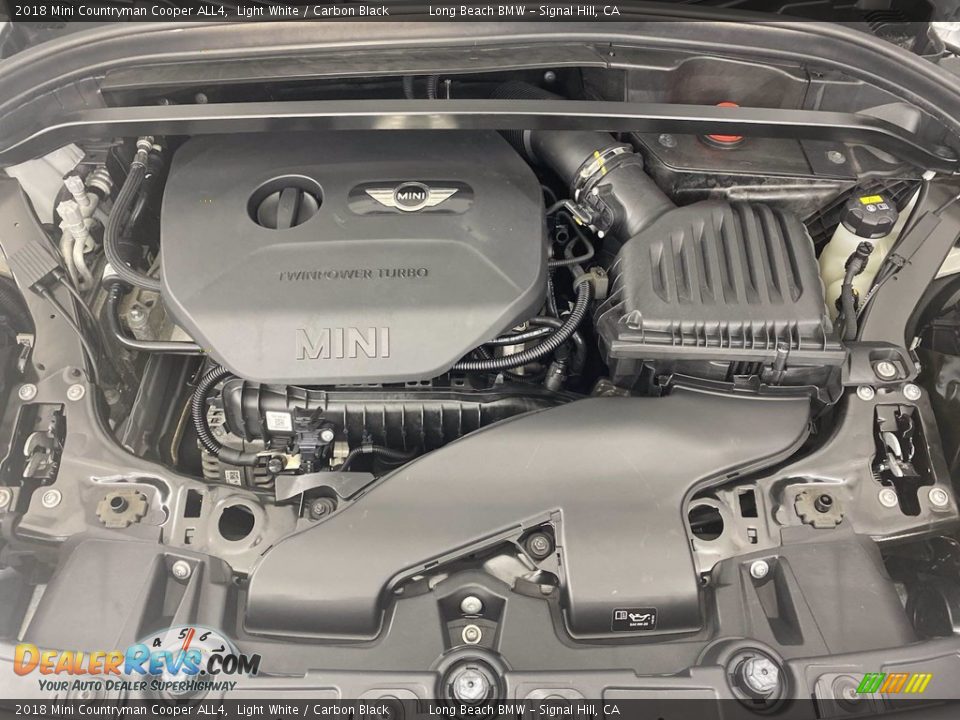2018 Mini Countryman Cooper ALL4 Light White / Carbon Black Photo #13