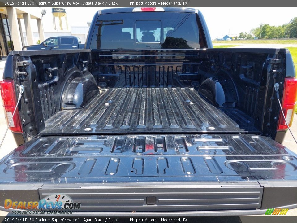 2019 Ford F150 Platinum SuperCrew 4x4 Agate Black / Black Photo #29