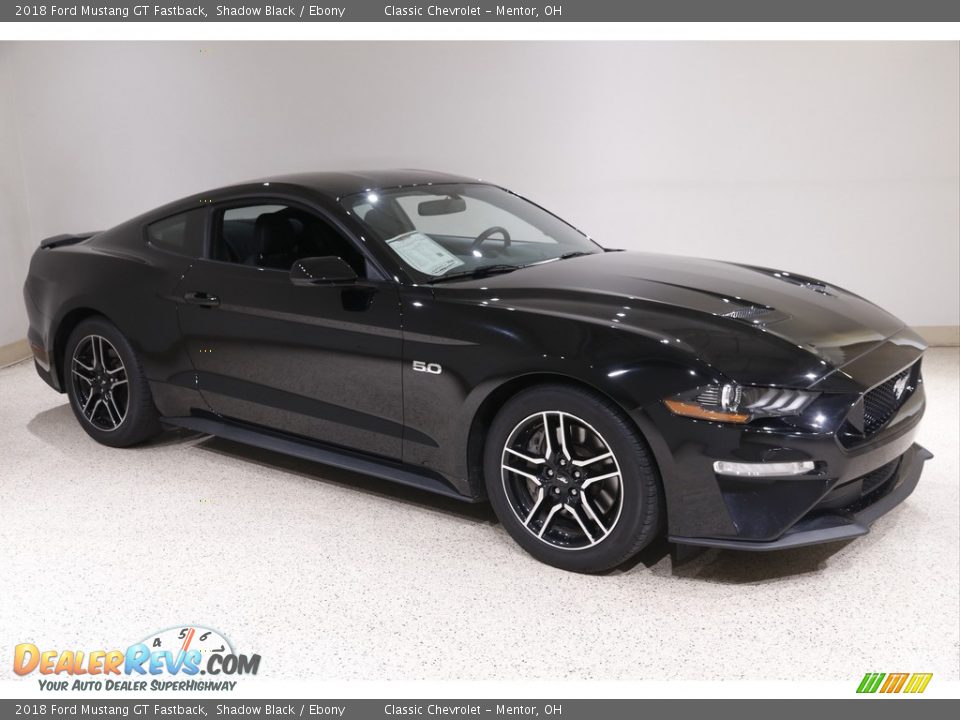 2018 Ford Mustang GT Fastback Shadow Black / Ebony Photo #1