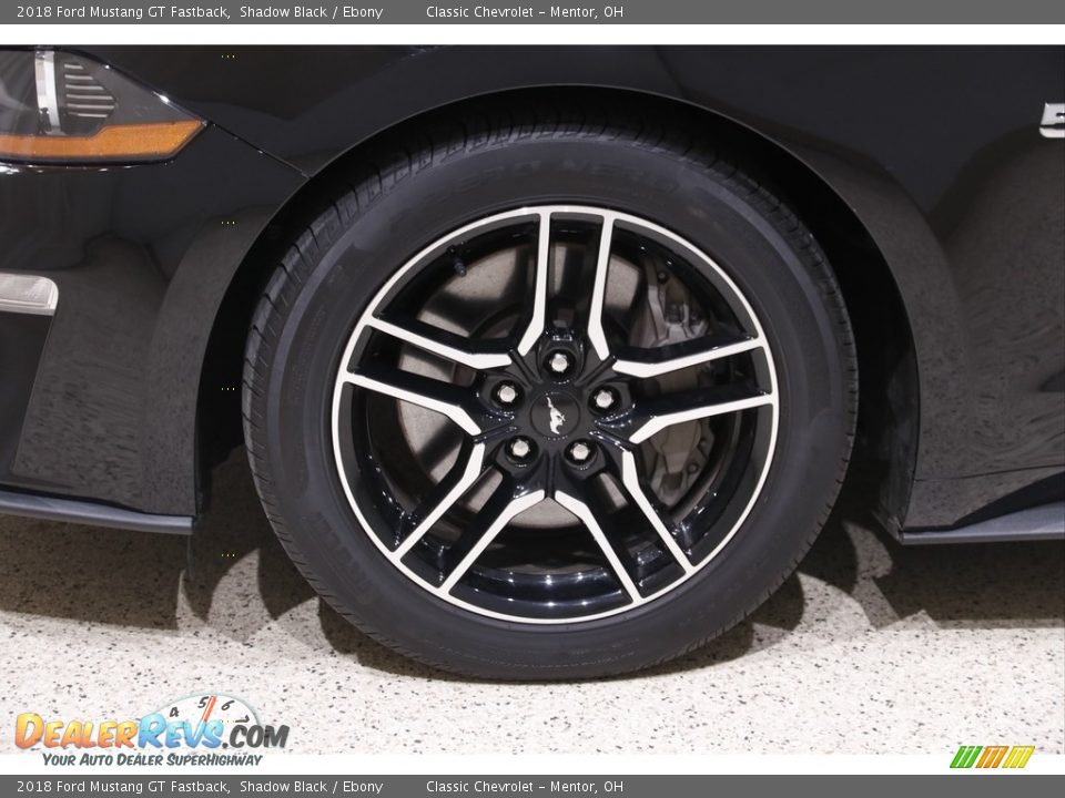 2018 Ford Mustang GT Fastback Shadow Black / Ebony Photo #20