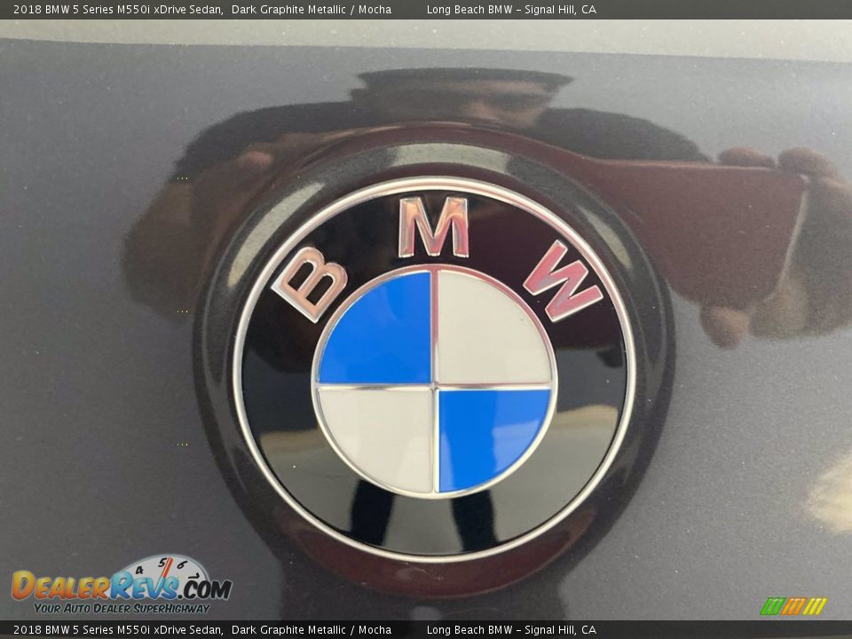 2018 BMW 5 Series M550i xDrive Sedan Dark Graphite Metallic / Mocha Photo #10