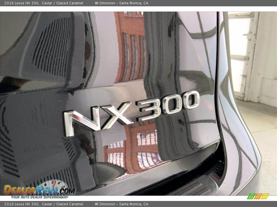 2019 Lexus NX 300 Logo Photo #7