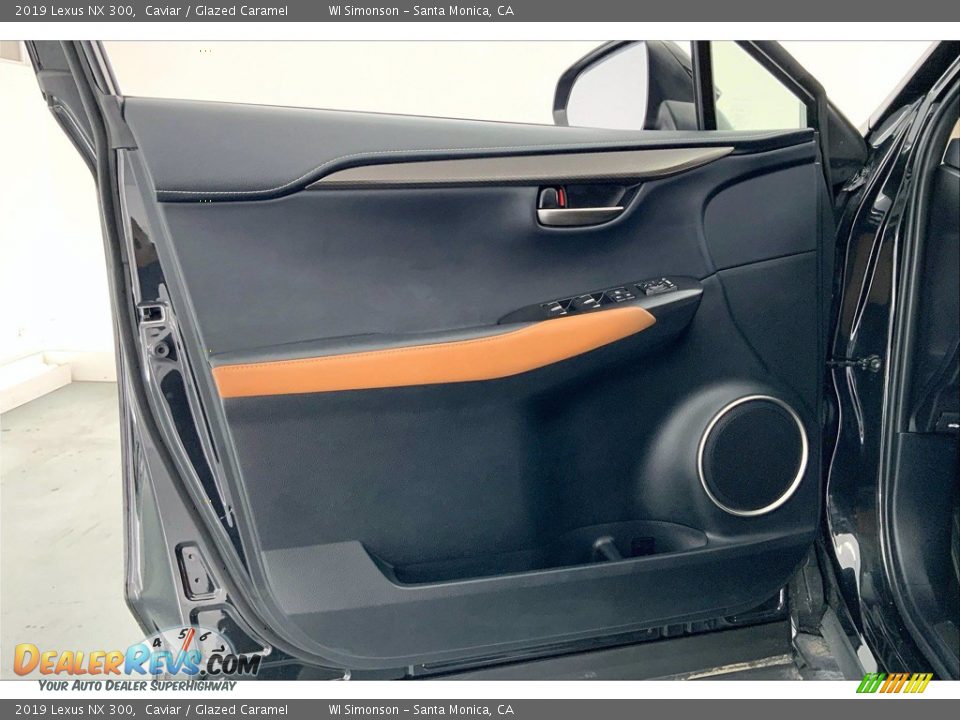 Door Panel of 2019 Lexus NX 300 Photo #26