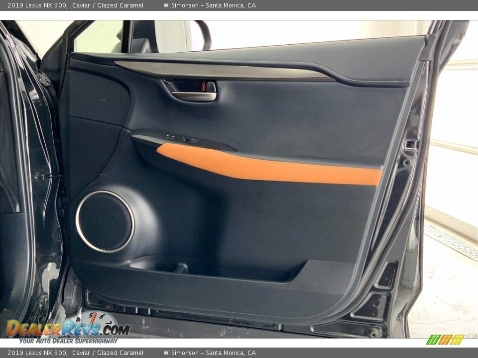 Door Panel of 2019 Lexus NX 300 Photo #27