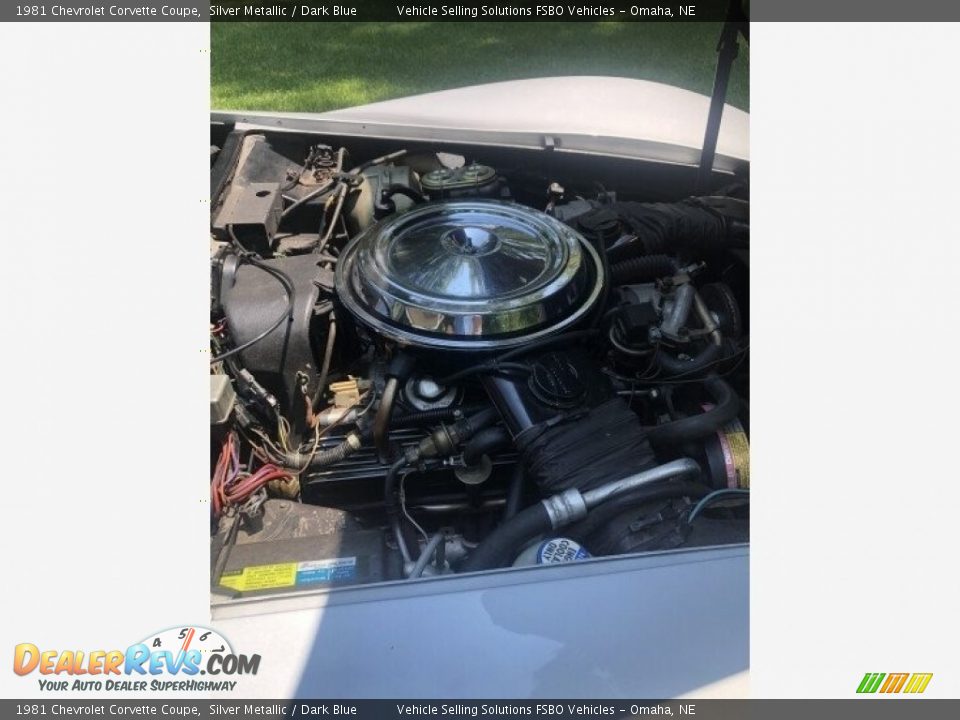 1981 Chevrolet Corvette Coupe Silver Metallic / Dark Blue Photo #5