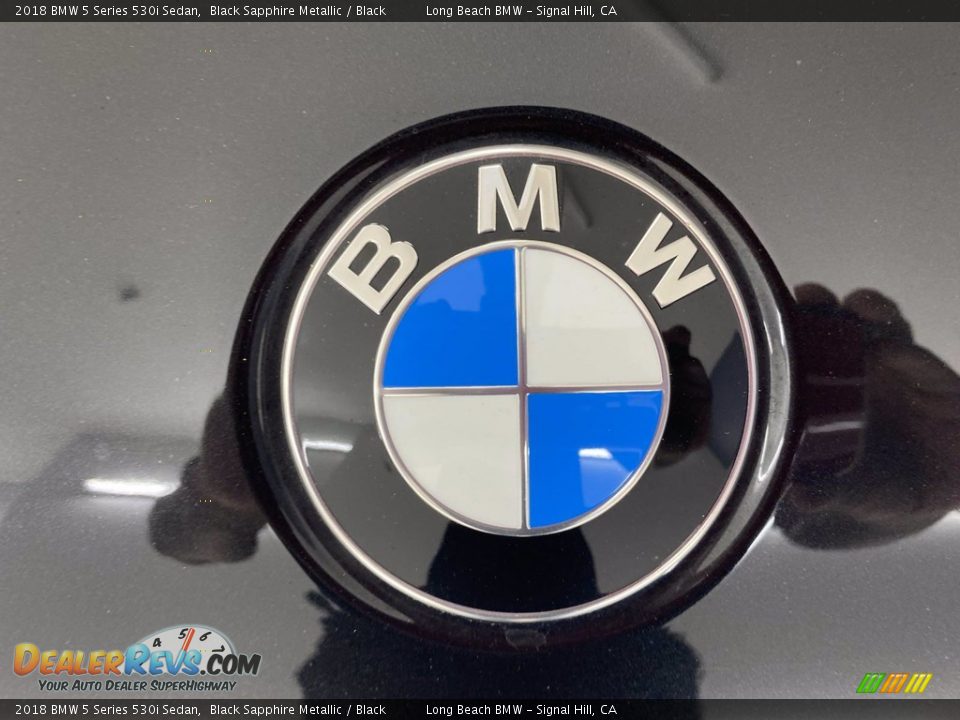 2018 BMW 5 Series 530i Sedan Black Sapphire Metallic / Black Photo #8