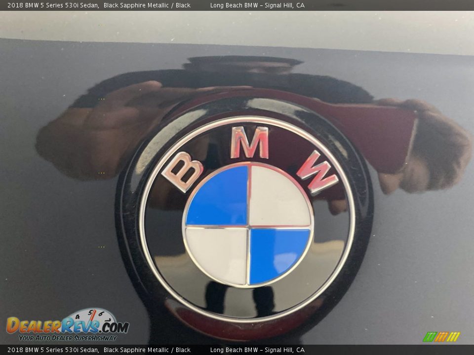 2018 BMW 5 Series 530i Sedan Black Sapphire Metallic / Black Photo #10