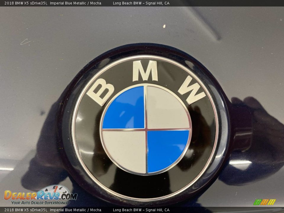 2018 BMW X5 sDrive35i Imperial Blue Metallic / Mocha Photo #8