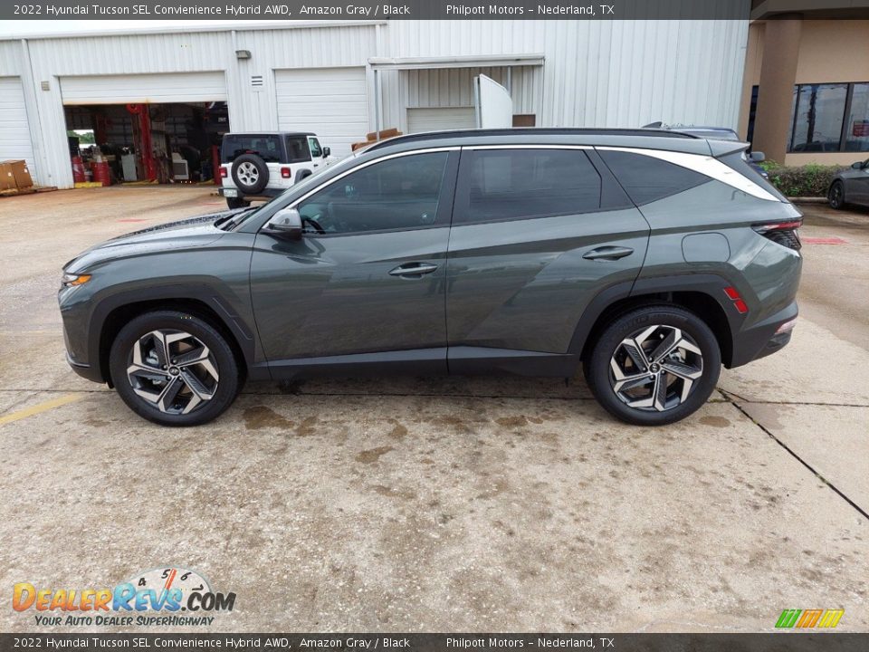 Amazon Gray 2022 Hyundai Tucson SEL Convienience Hybrid AWD Photo #4