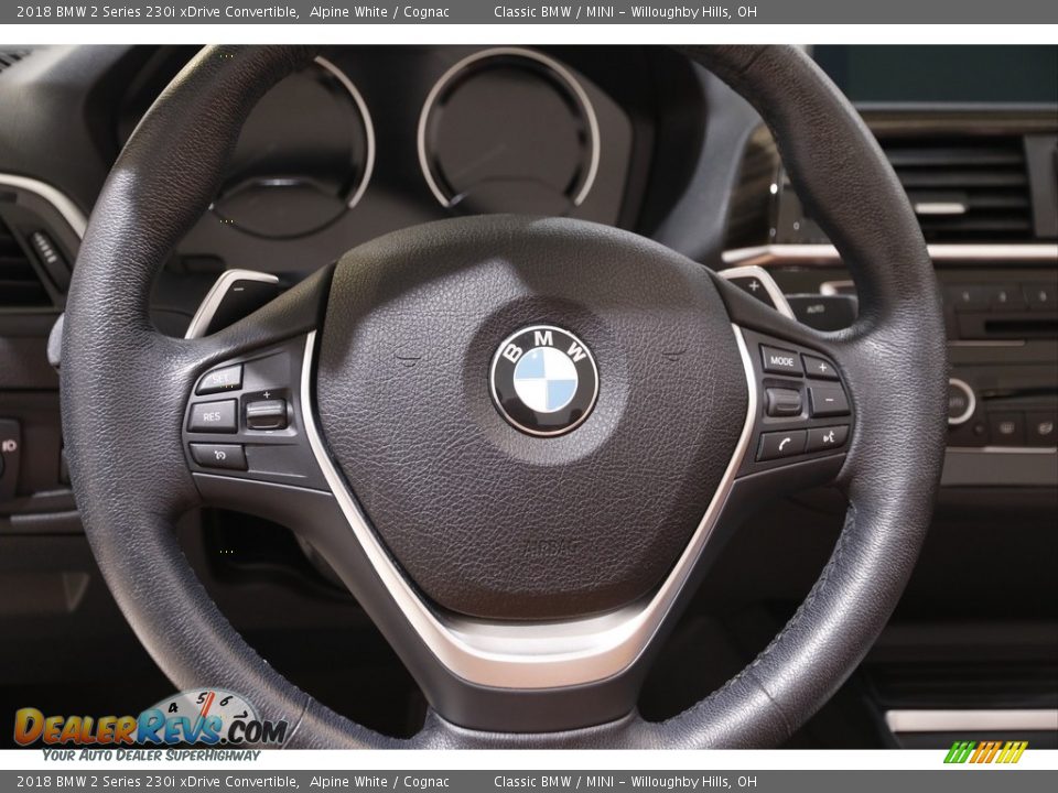 2018 BMW 2 Series 230i xDrive Convertible Steering Wheel Photo #8