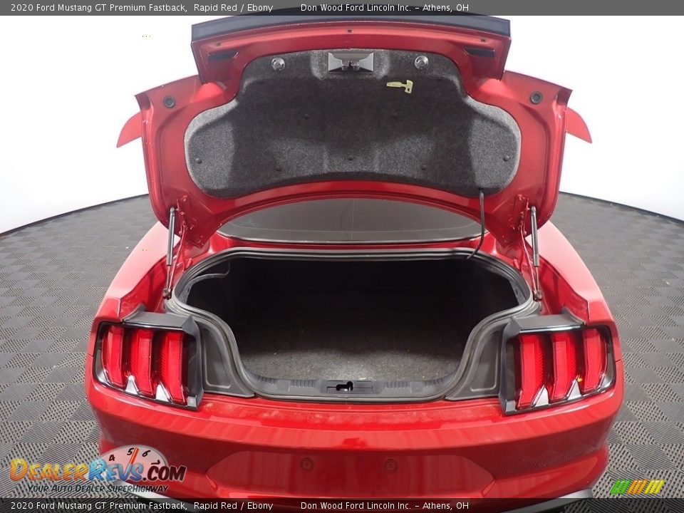 2020 Ford Mustang GT Premium Fastback Rapid Red / Ebony Photo #16