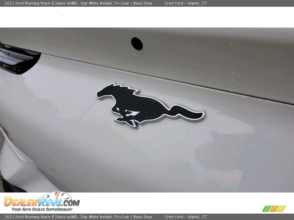 2021 Ford Mustang Mach-E Select eAWD Logo Photo #9