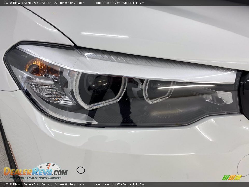 2018 BMW 5 Series 530i Sedan Alpine White / Black Photo #7