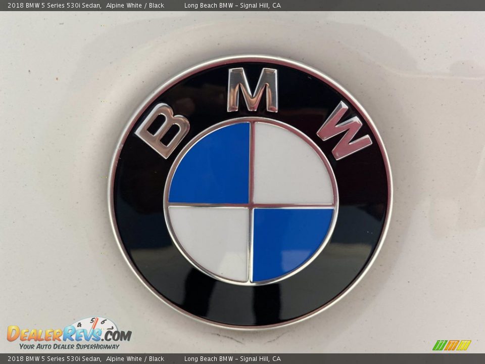 2018 BMW 5 Series 530i Sedan Alpine White / Black Photo #10